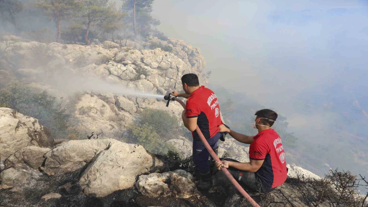 Silifkedeki orman yangınına belediye ekipleri de müdahale etti