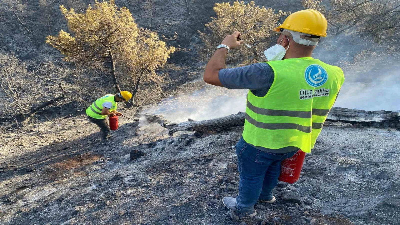 Ülkü Ocakları, Hatayda yangınla mücadelede vatandaşların yanında oldu