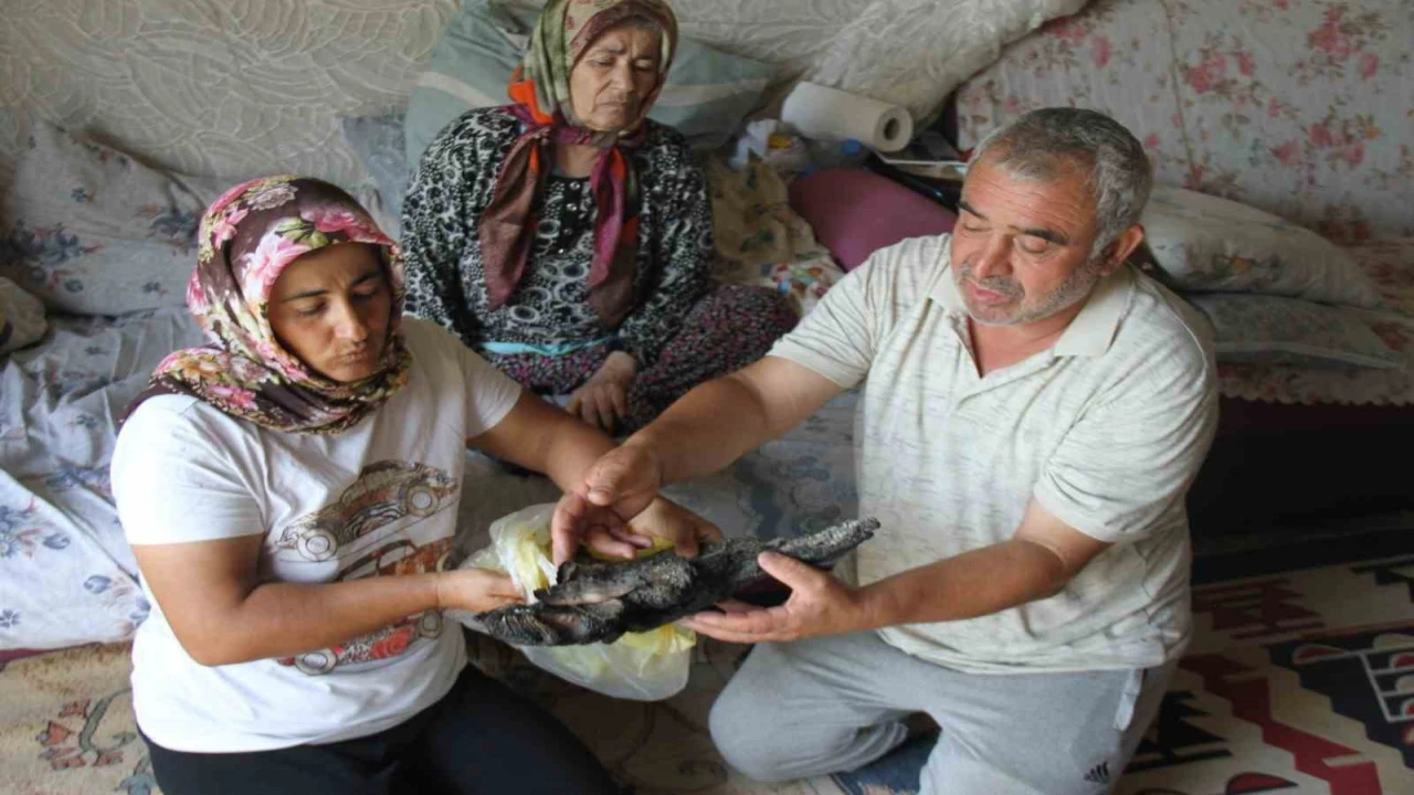 Yangında depoda sakladıkları 90 bin TL kül olan aile Merkez Bankasına başvurdu