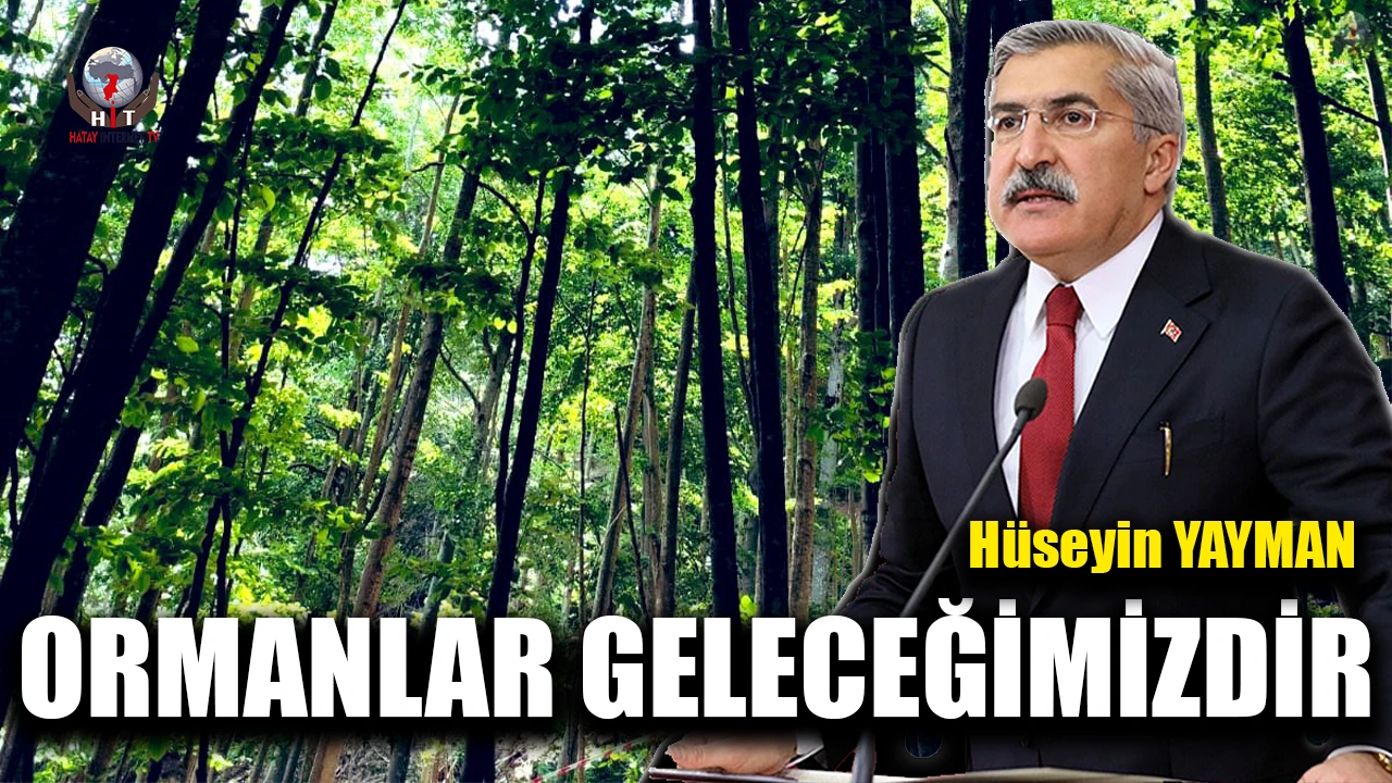 YAYMAN: ORMANLAR GELECEĞİMİZDİR
