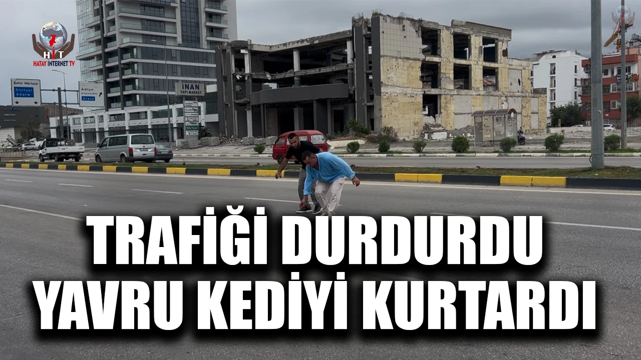 Yolcu dolu minibüsü durdurarak akan trafikte çaresizce bekleyen yavru kediyi kurtardı