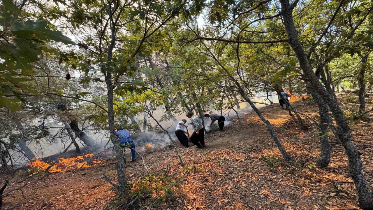 Adana Fekede orman yangını ekipler havadan ve karadan müdahale ediyor