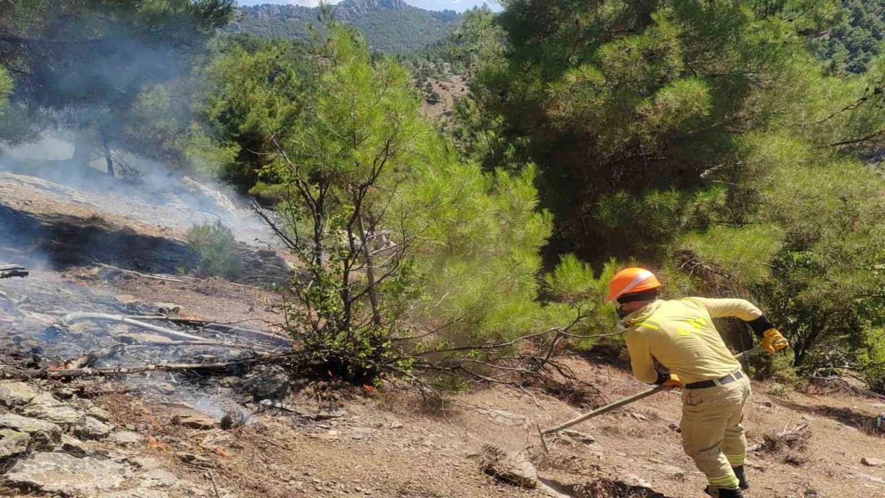 Adana Fekedeki orman yangını kontrol altına alındı