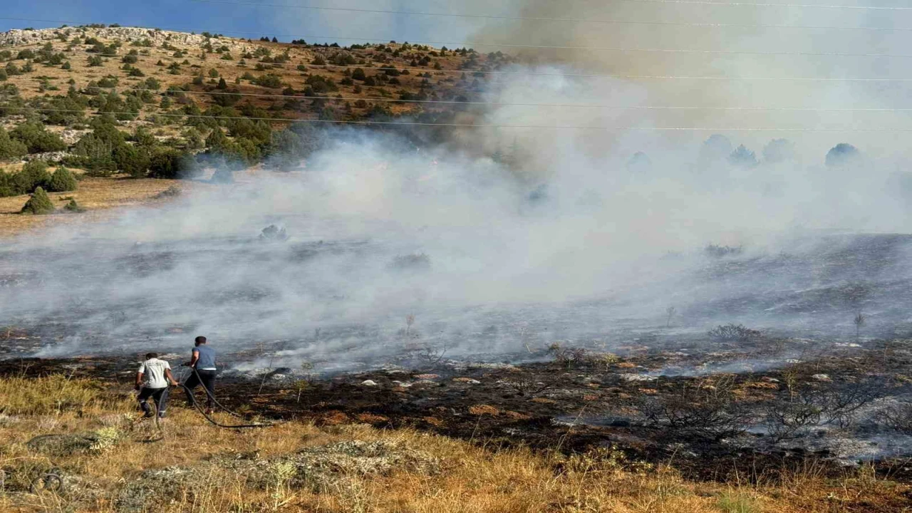 Adana Tufanbeylide orman yangını