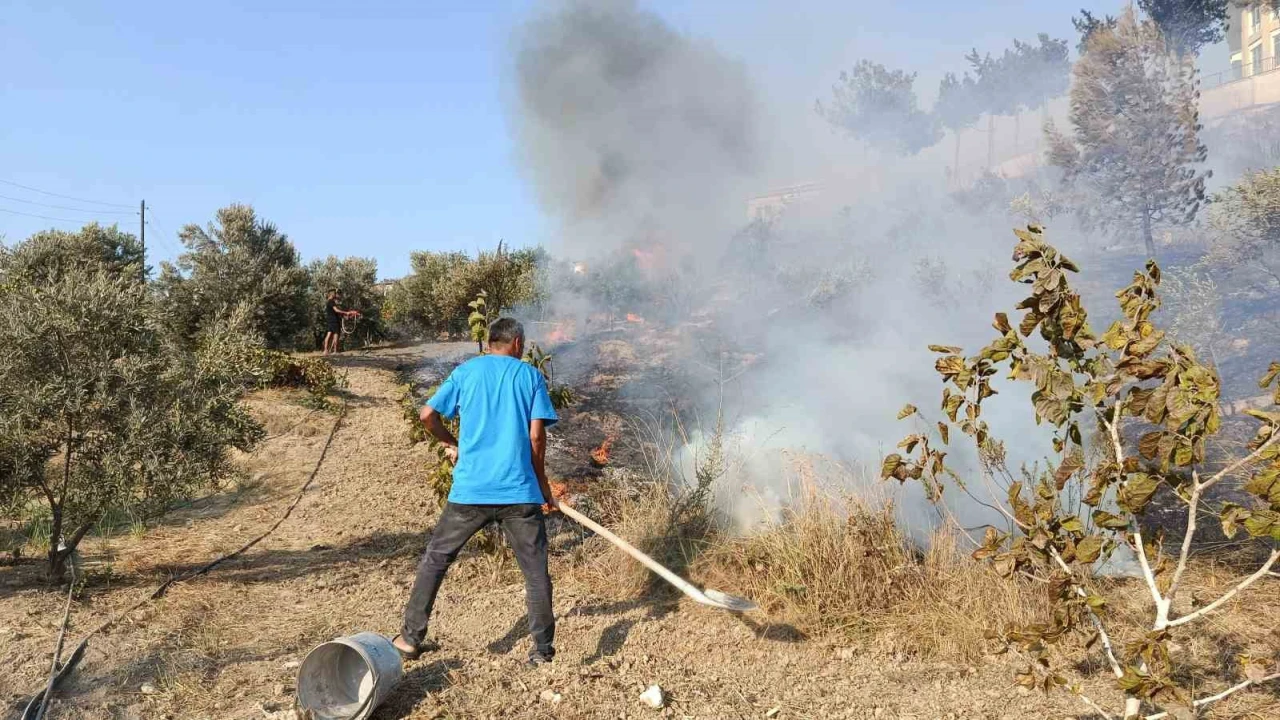 Adanada ağaçlık alanda çıkan yangın kontrol altına alındı