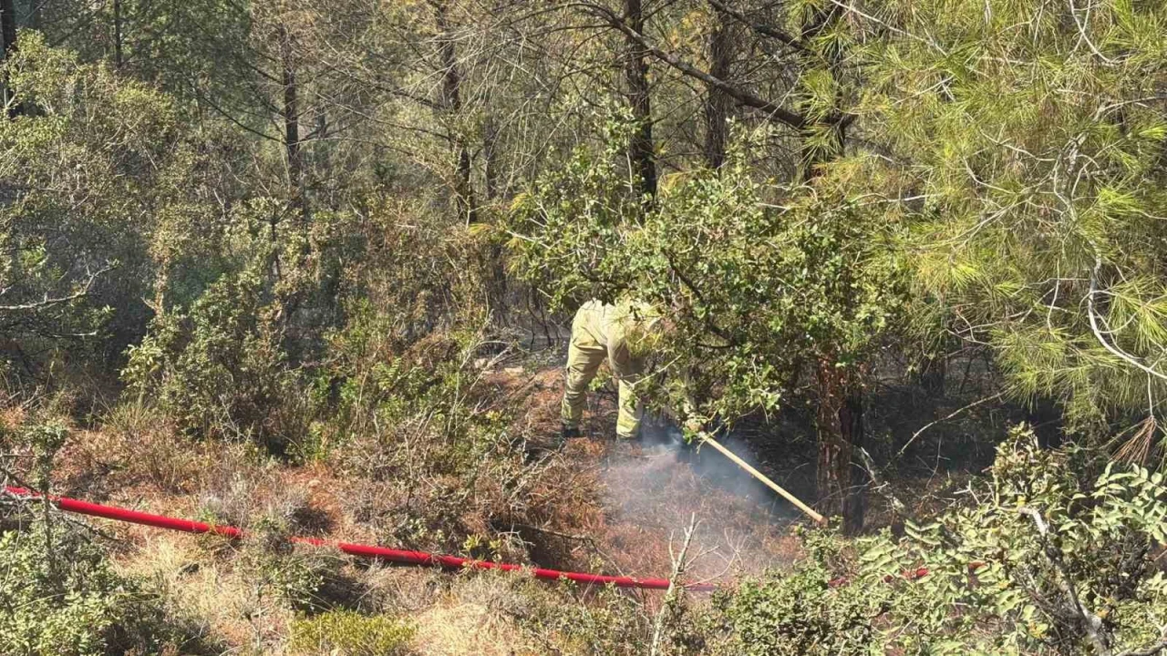 Adanada orman yangını kontrol altına alındı