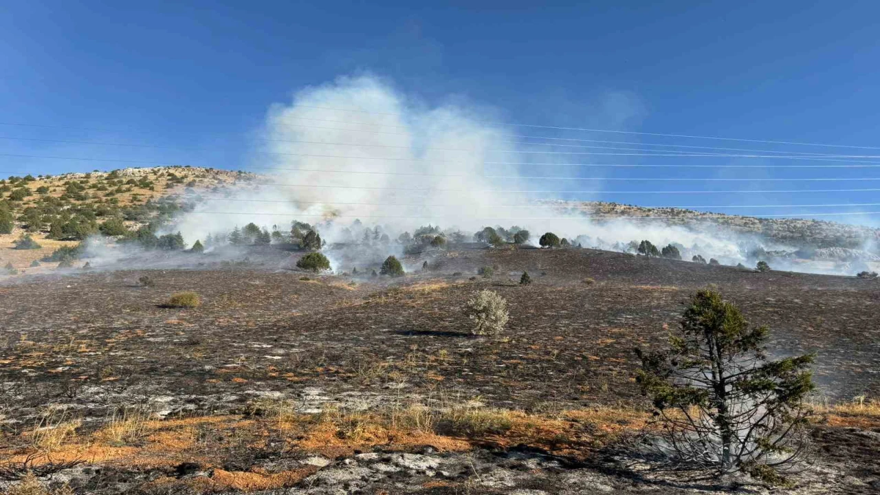 Adanadaki orman yangını kontrol altına alındı
