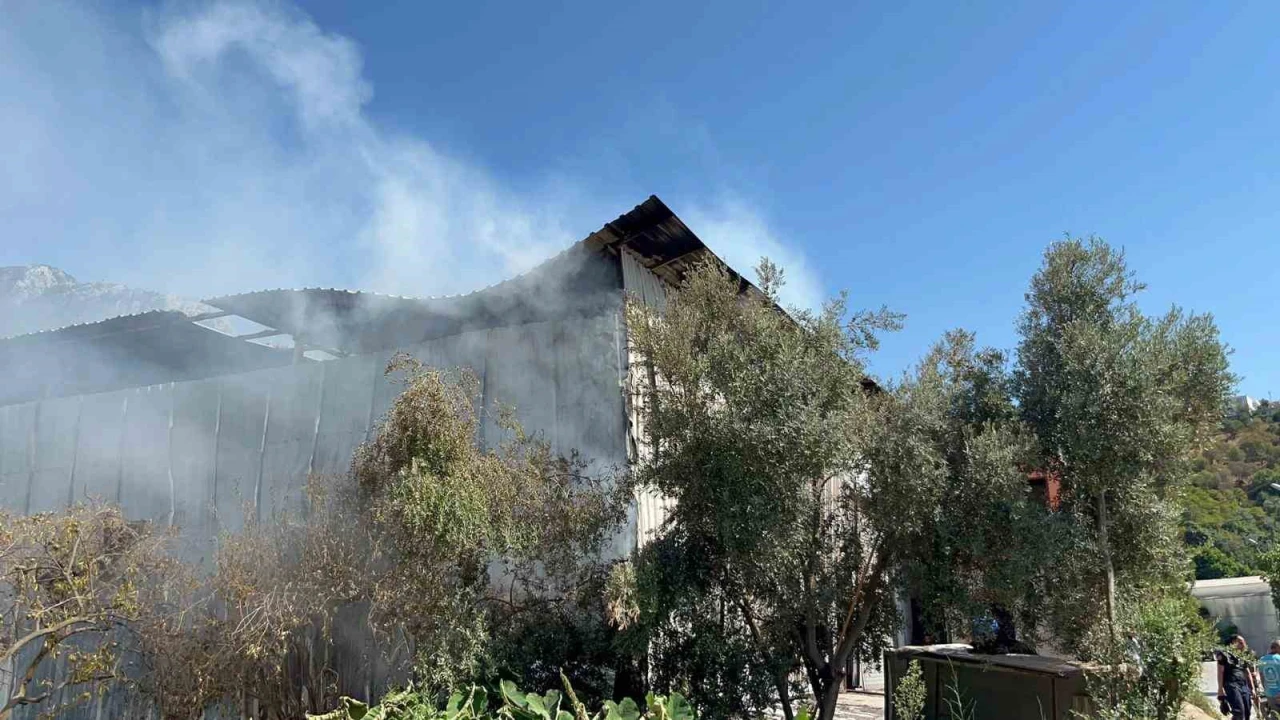 Alanyada mobilya atölyesinde yangın