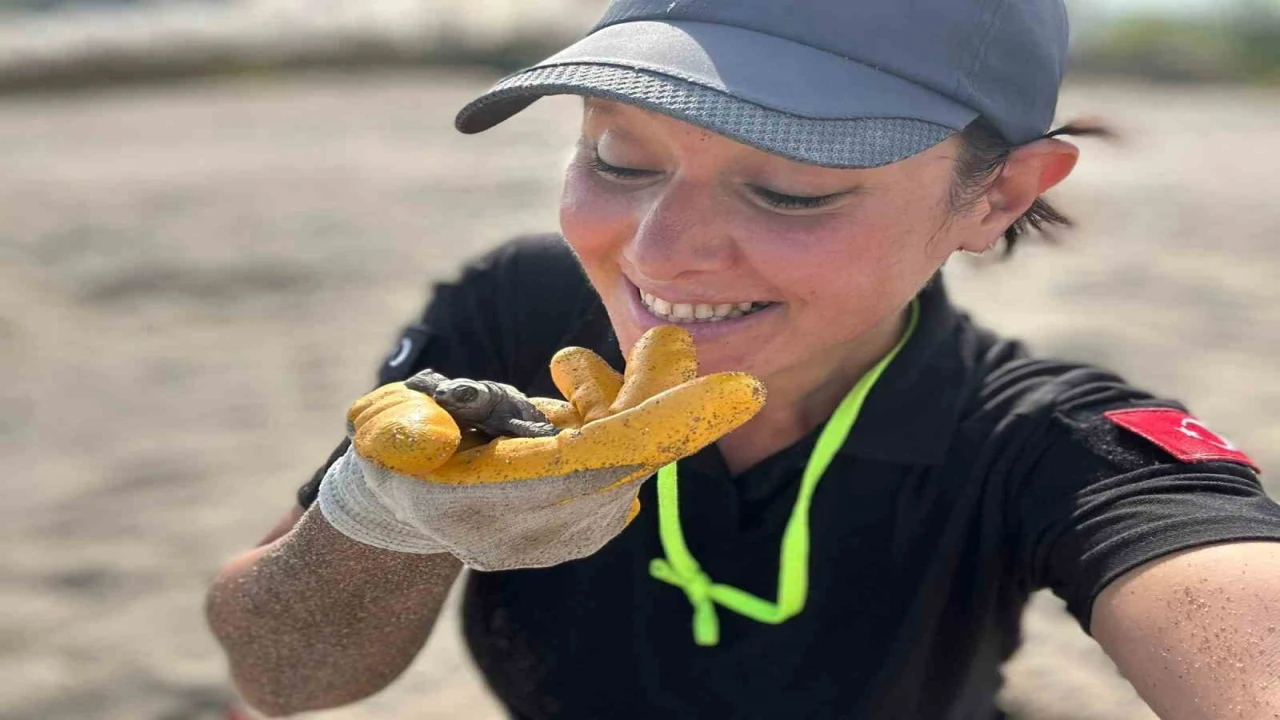 Antalyada yavru caretta carettaların denizle buluşması için nöbet tutuluyor
