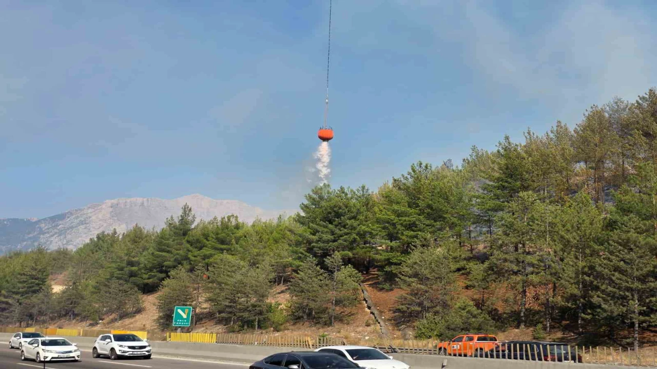 Aracın neden olduğu orman yangını kontrol altına alındı