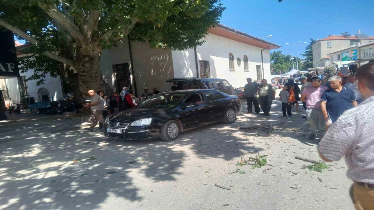 Asırlık çınarın dalı otomobilin üzerine düştü