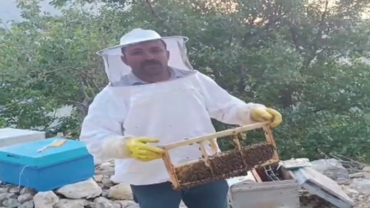 Ayı kovanları parçalayıp balı yedi, üretici 100 bin lira zarara uğradı