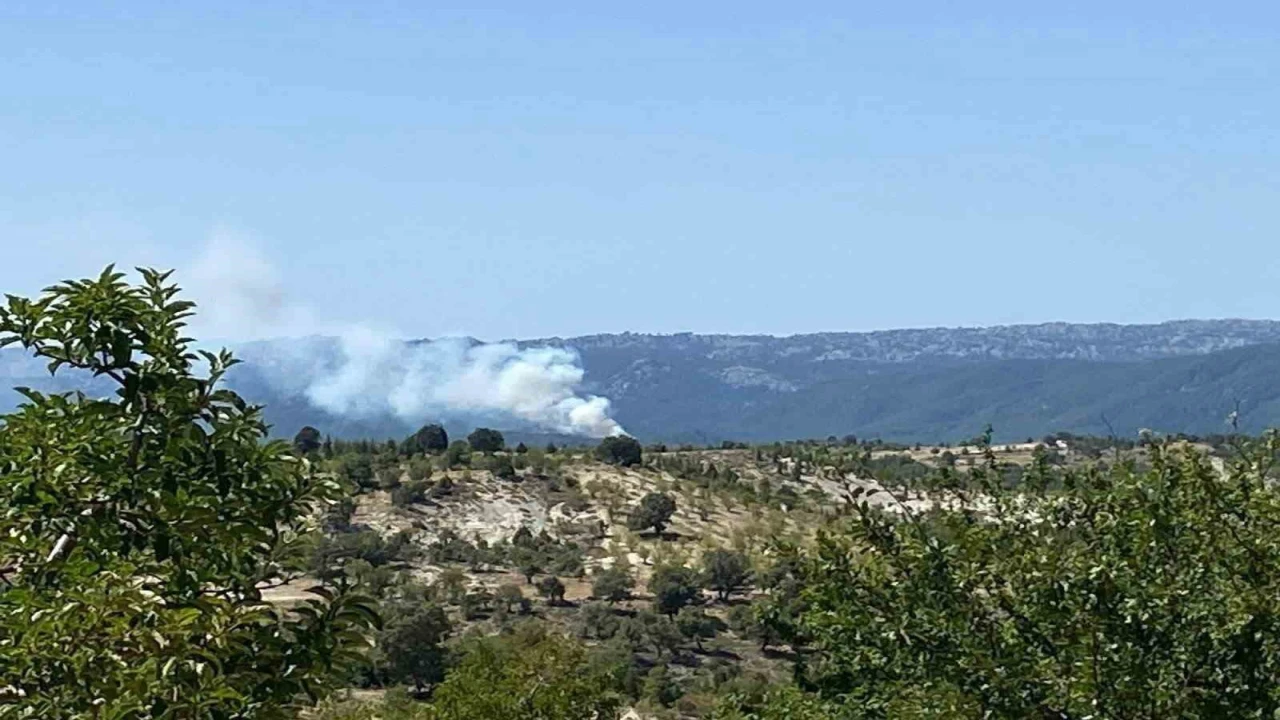 Bozyazıda orman yangını