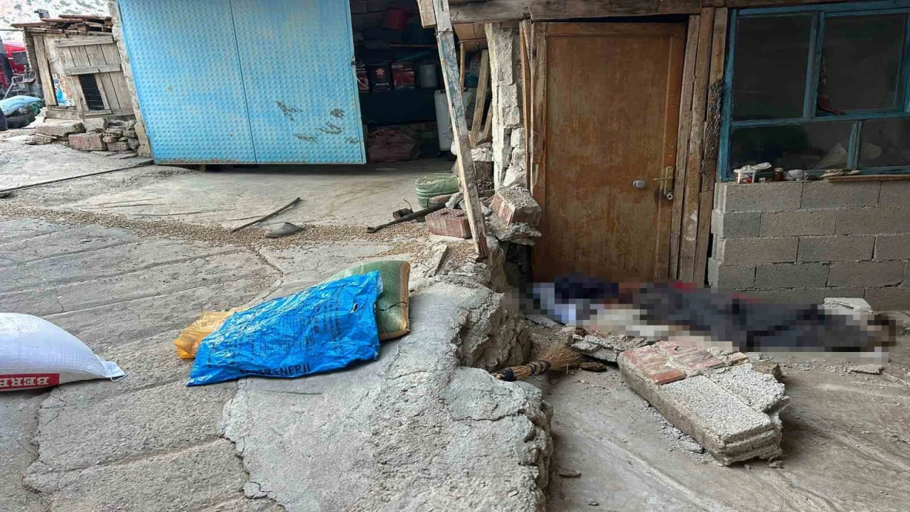 Burdurda traktör geri kaydı altta kalan yaşlı kadın hayatını kaybetti