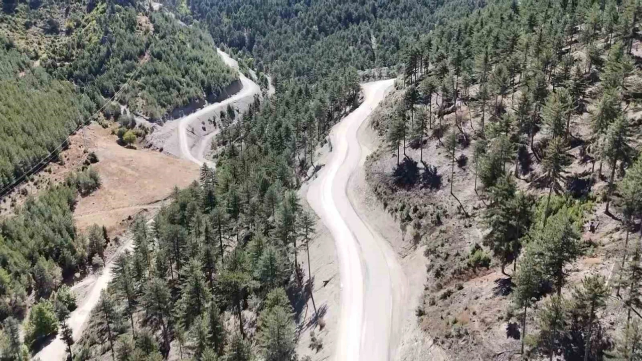 Fekede 75 yıl sonra genişletilen yollar ormanın güzelliğini ortaya çıkardı