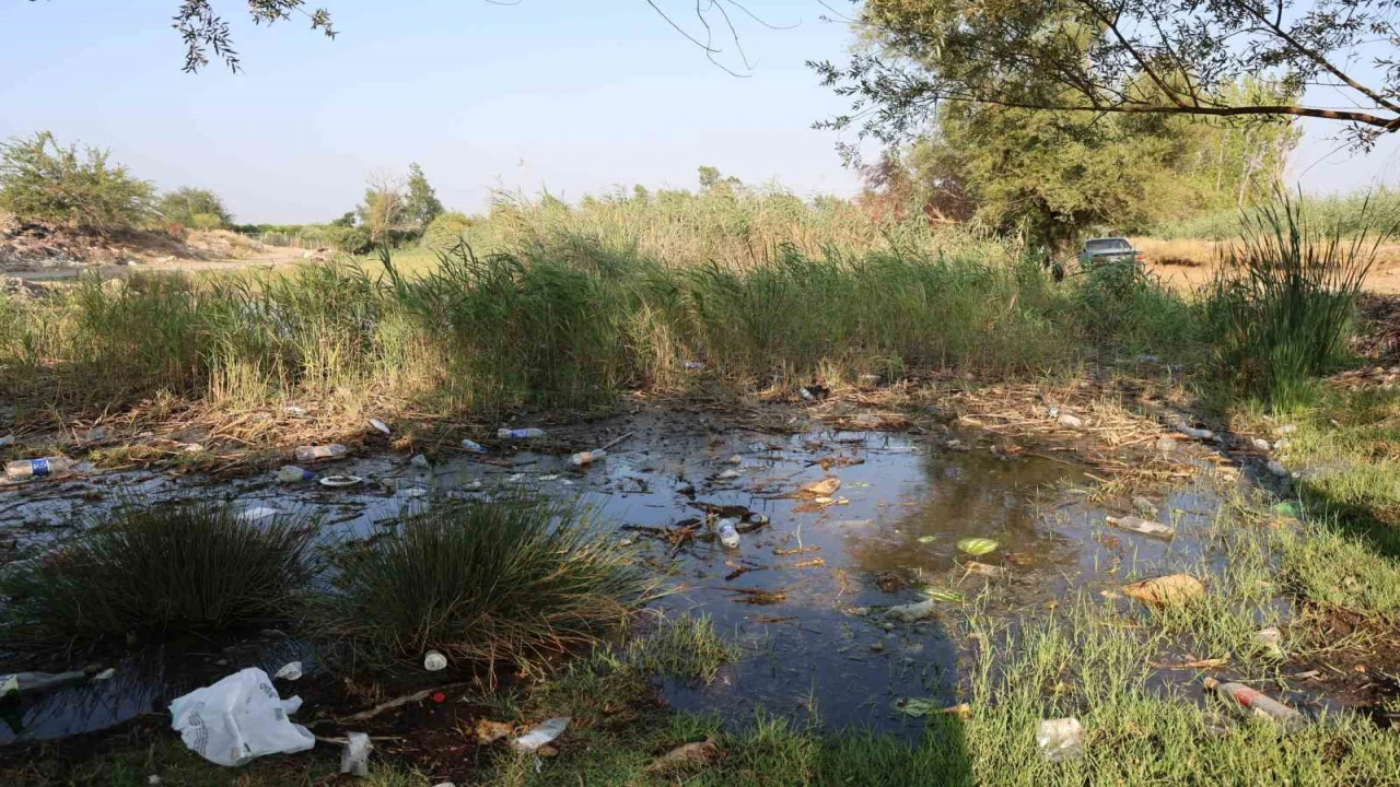 Göletler çöple doldu, muhtar isyan etti: Kirletecekseniz gelmeyin