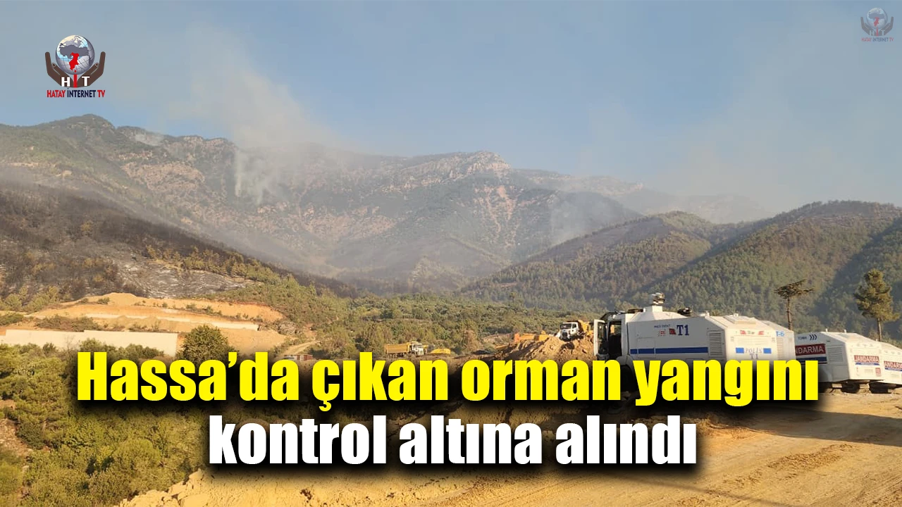 Hassada çıkan orman yangını kontrol altına alındı