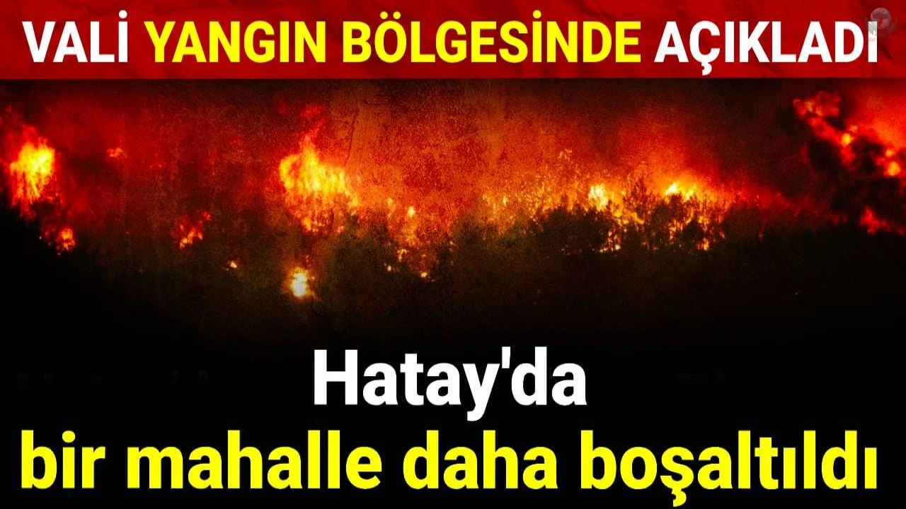 Hatay'da Orman Yangını: 540 Kişi Tahliye Edildi