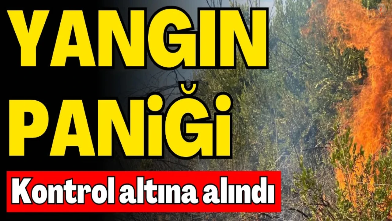 Hatayda orman yangını büyümeden kontrol altına alındı