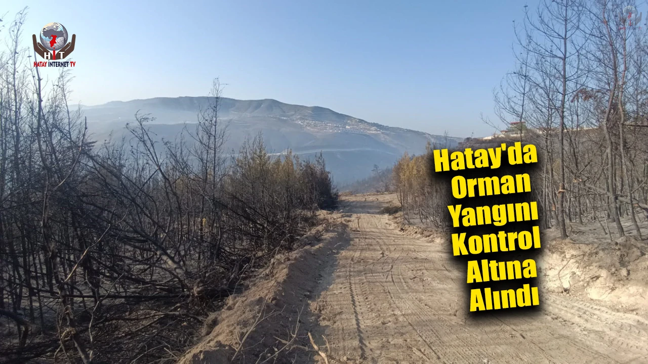 Hatayda orman yangını kontrol altına alındı