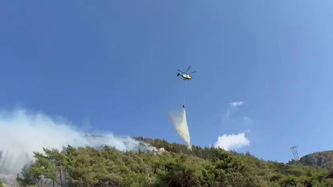 Hatayda orman yangınına havadan ve karadan müdahale sürüyor