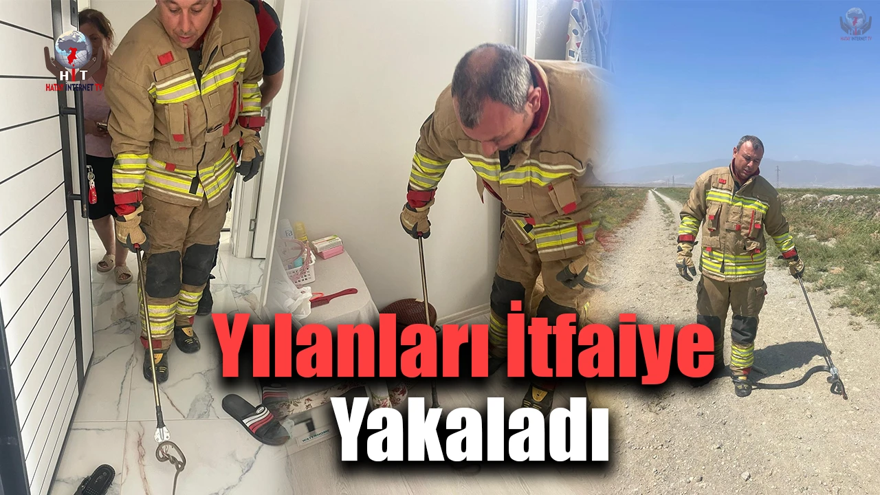 Hatay’da yerleşim yerlerine giren yılanları itfaiye yakaladı