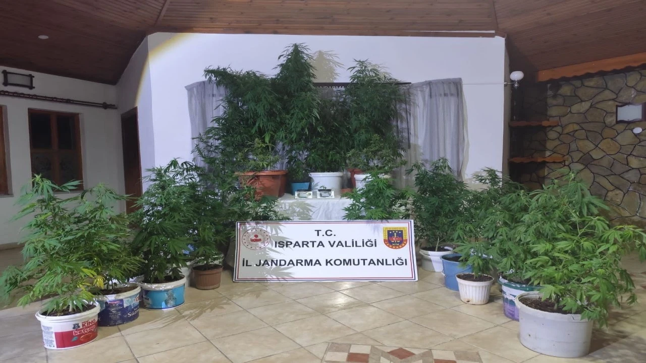 Ispartada uyuşturucu operasyonu