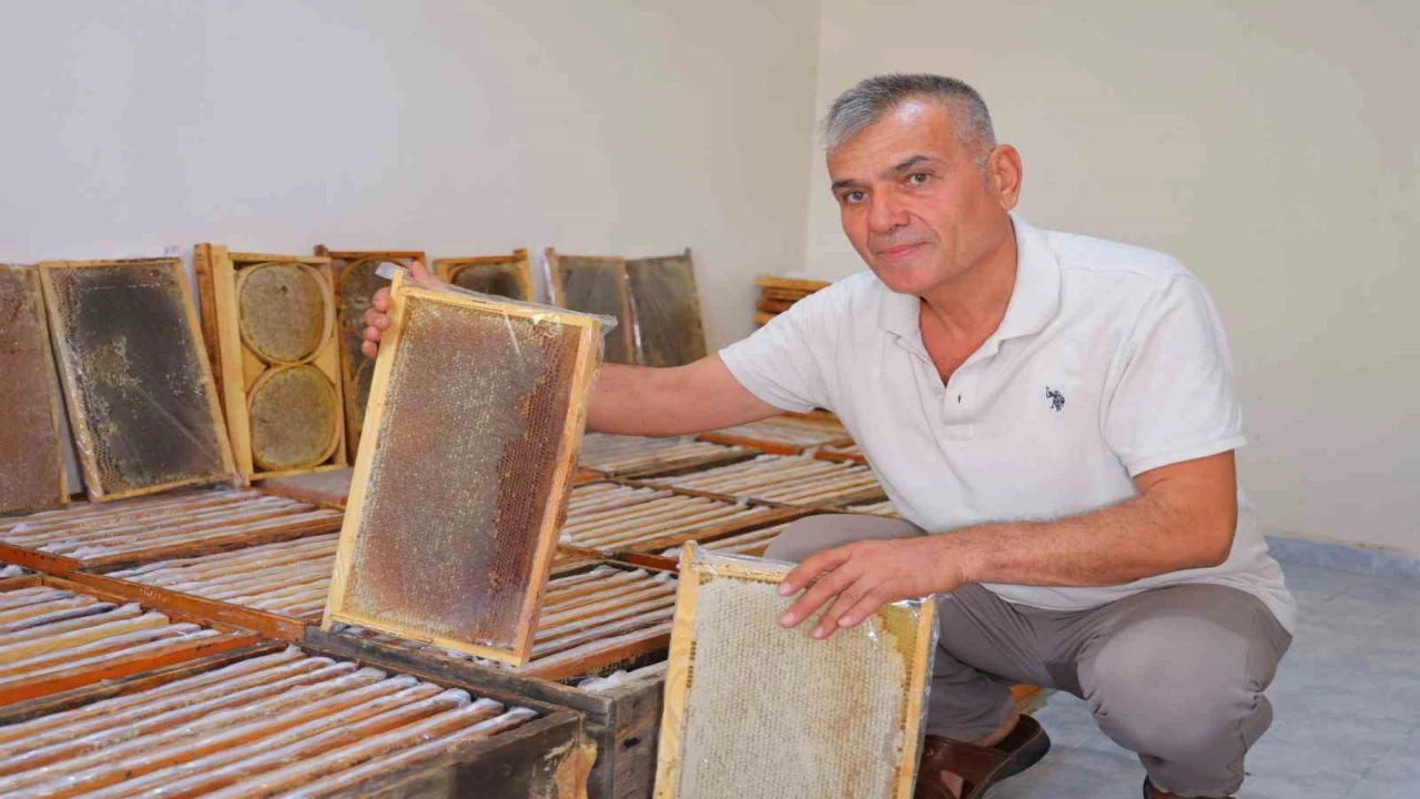 Kahramanmaraşta bu yıl 10 bin tonunun üzerinde bal rekoltesi bekleniyor