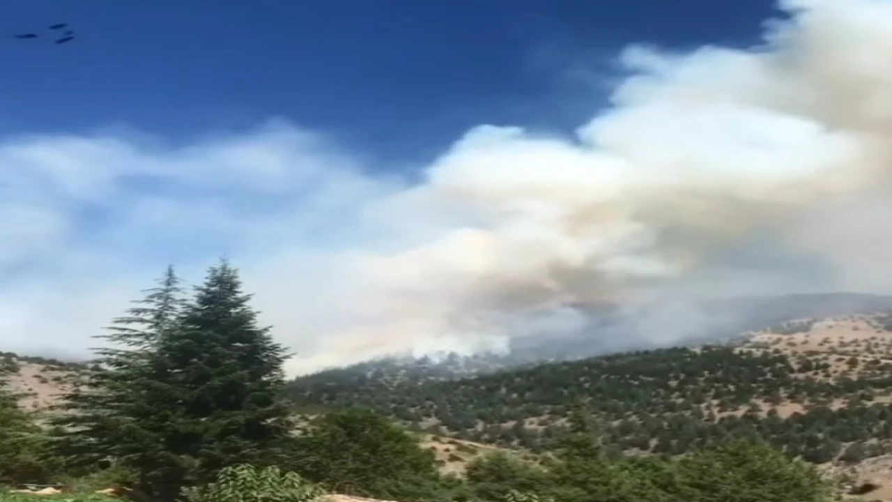 Kahramanmaraşta orman yangını