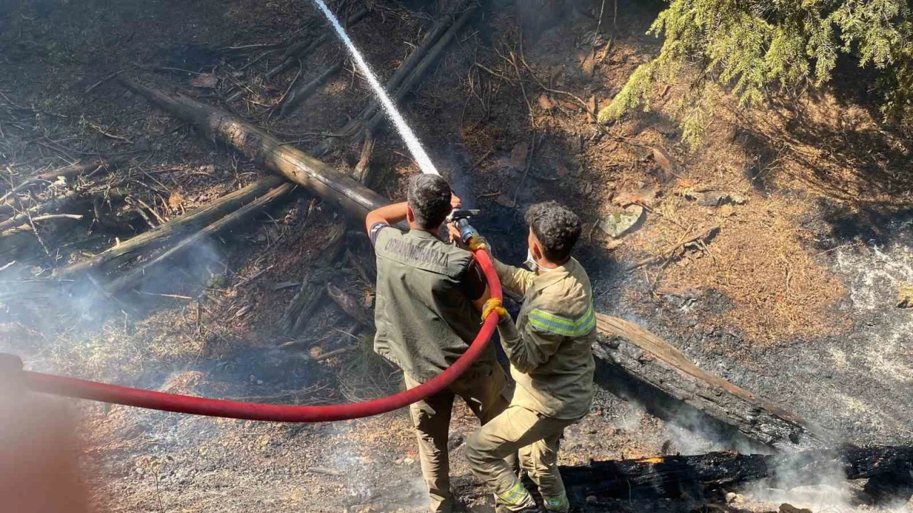 Kahramanmaraştaki orman yangını kontrol altına alındı