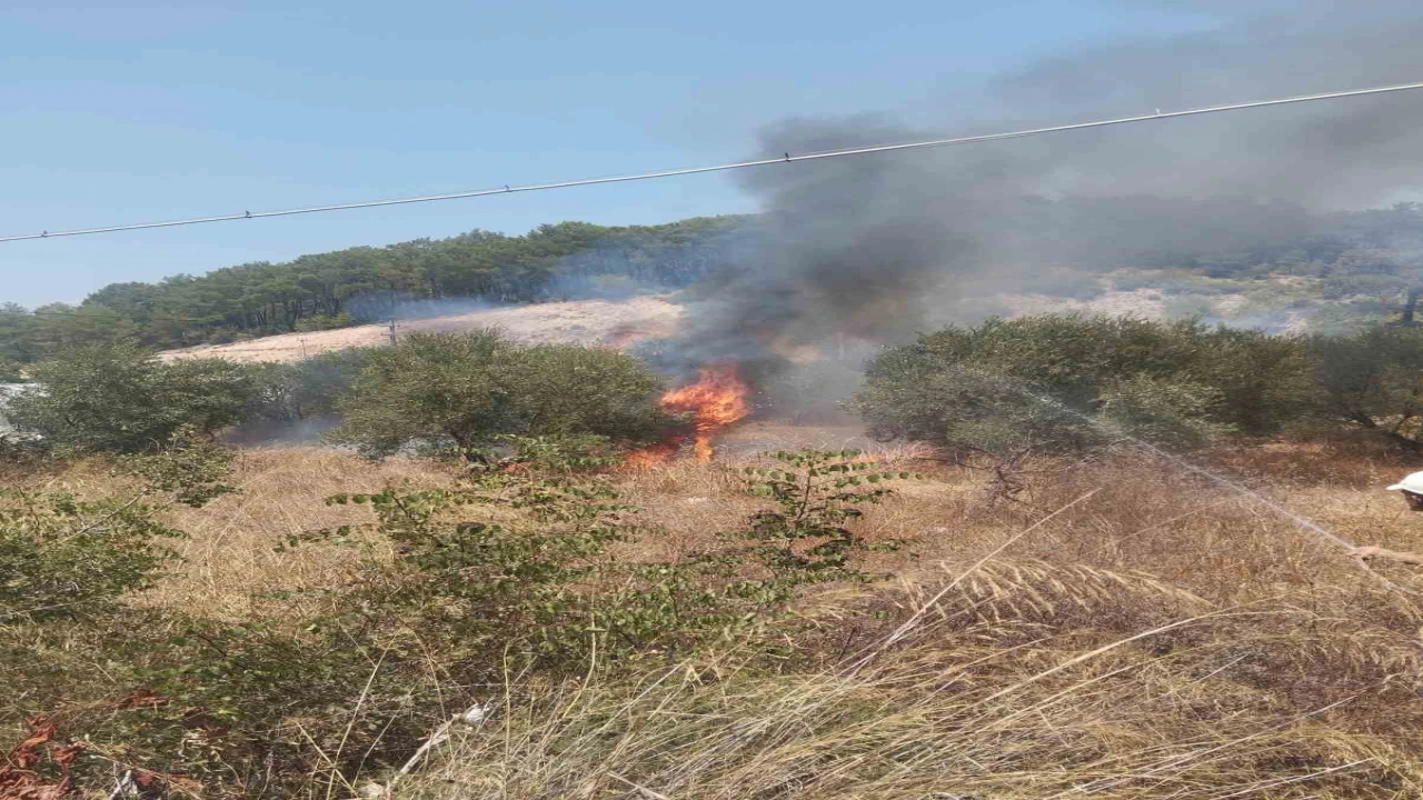 Kumlucada çıkan yangında bir dönüm zeytinlik alan yandı