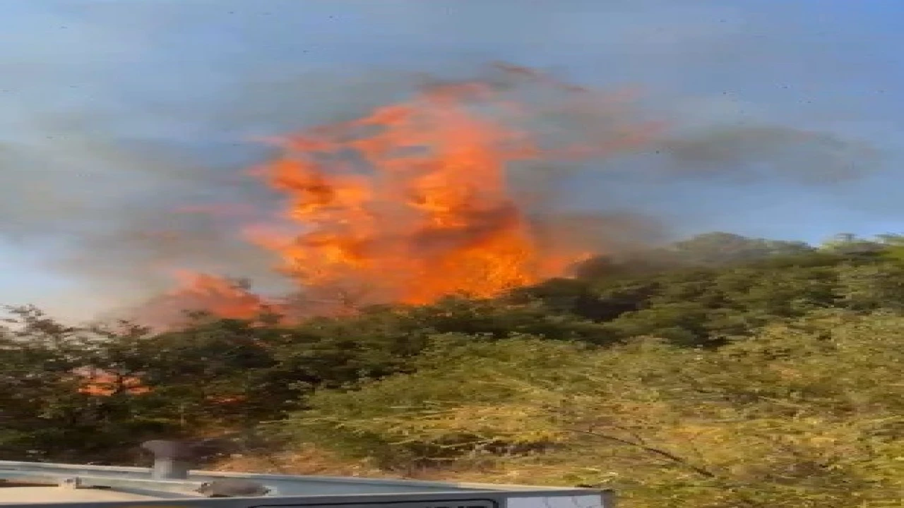 Kumlucada örtü yangını ormanlık alana sıçramadan söndürüldü