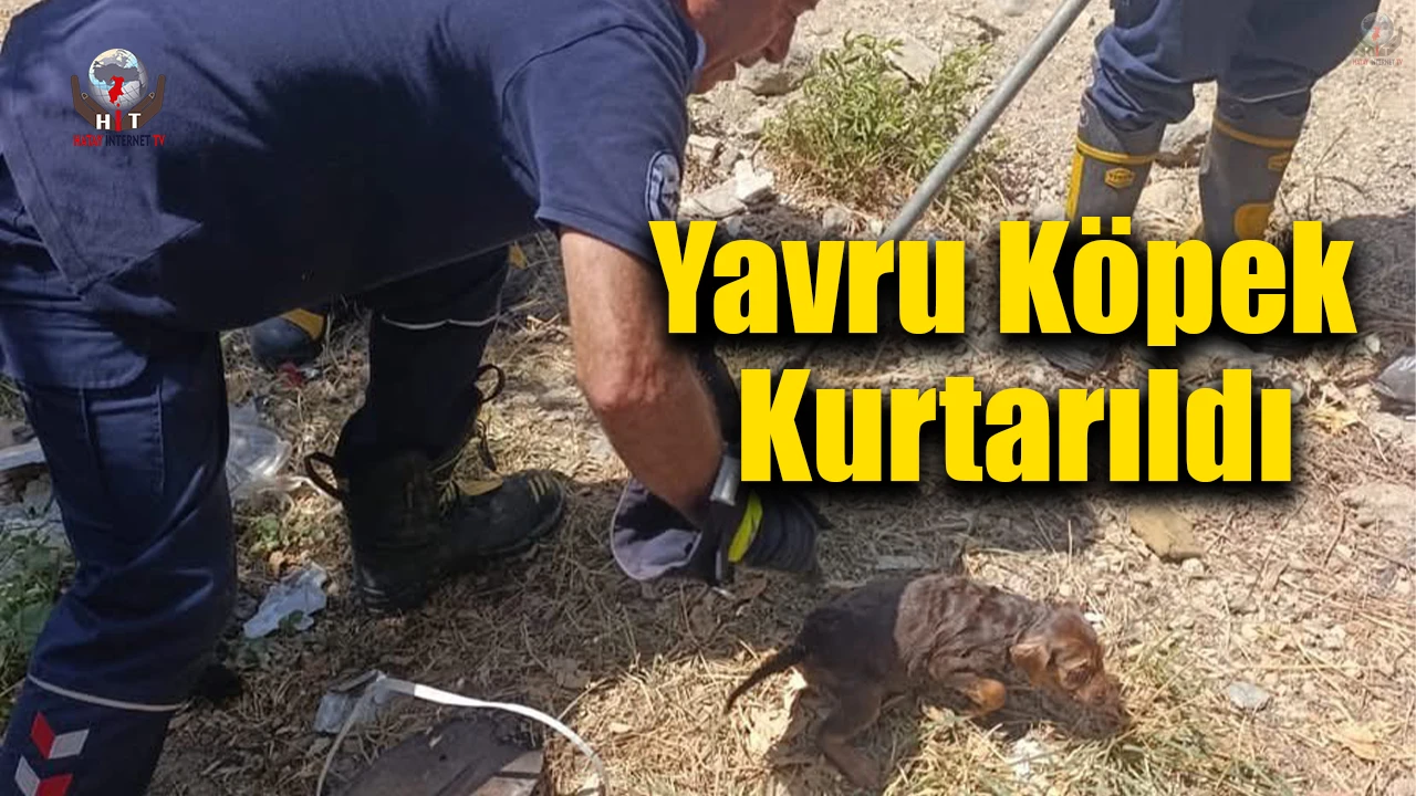 Kuyuya düşen yavru köpek kurtarıldı