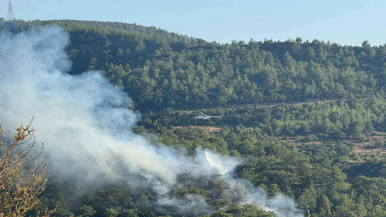 Manavgatta ormanlık alanda yangın