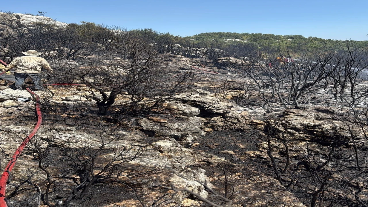 Mersin Silifkede yangın ormanı sarmadan söndürüldü