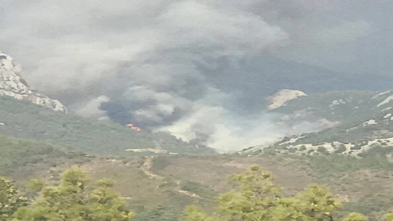 Mersinde ikinci orman yangını