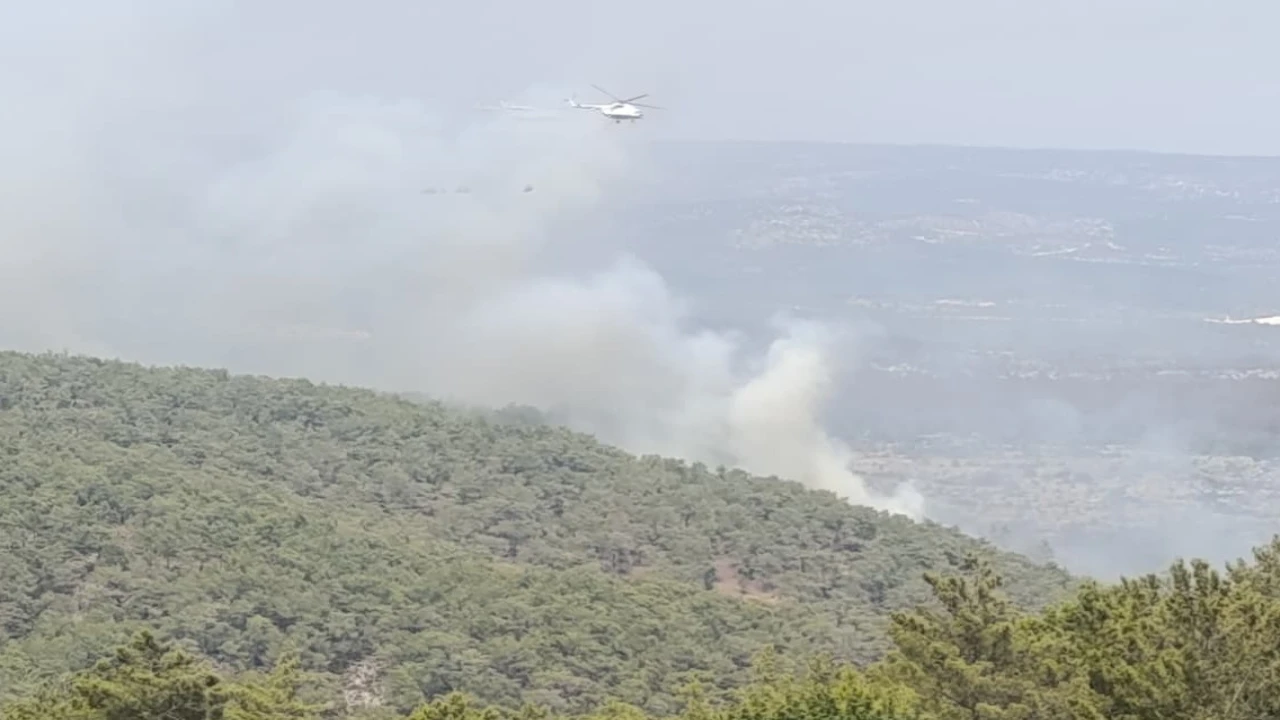 Mersinde kaynak yaparken orman yangınına neden olan firma sahibi ile 4 kişi tutuklandı