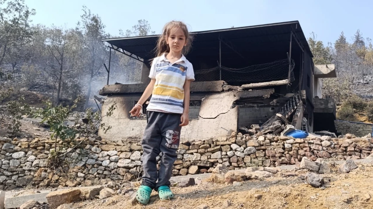 Mersinde orman yangınında evler yandı, hayvanlar telef oldu