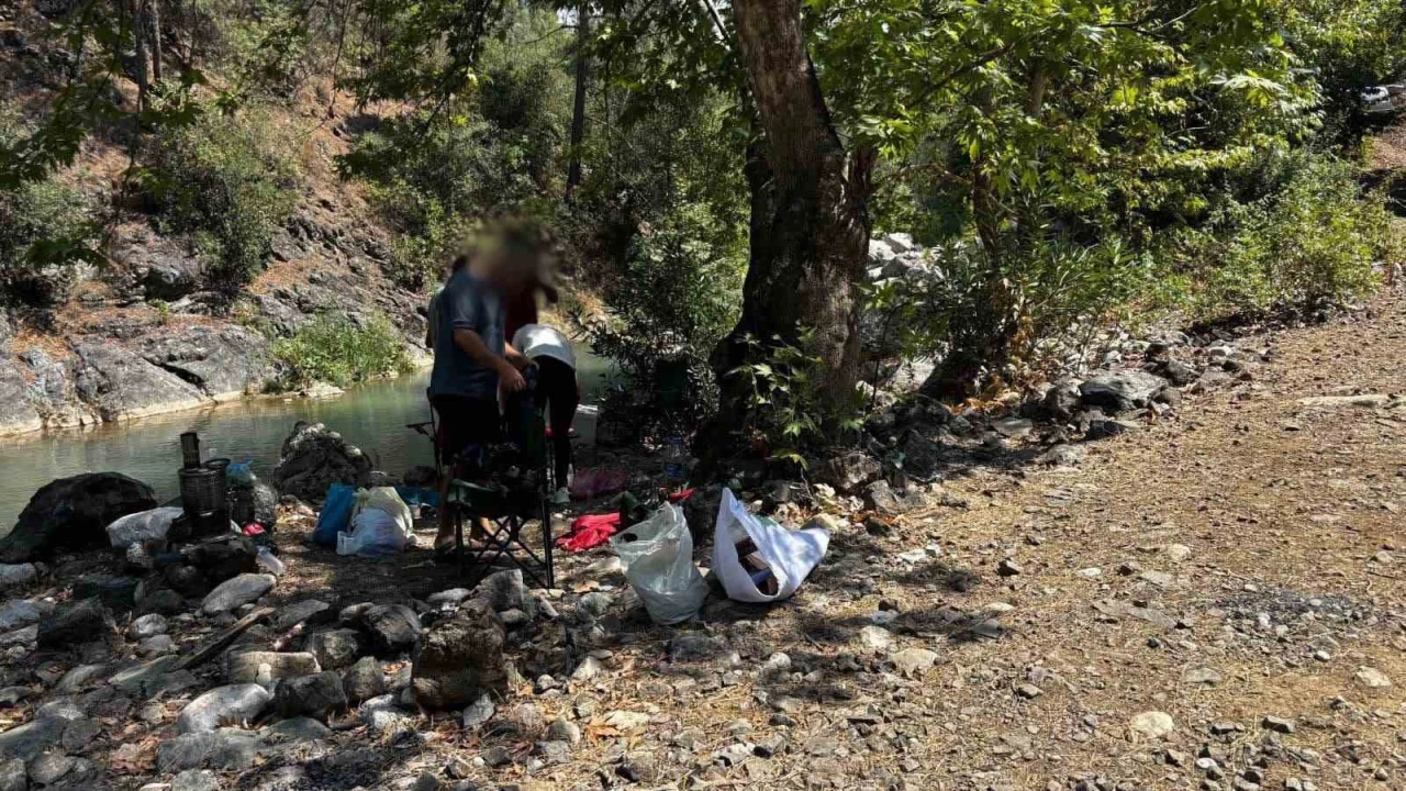 Mersinde ormanlık alana izinsiz girenlere ceza kesildi