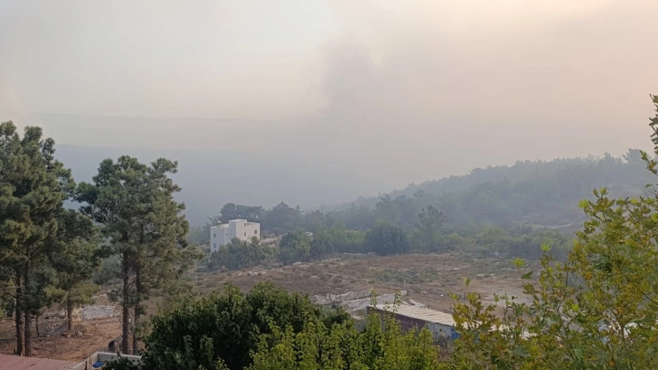 Mersindeki orman yangını 2. gününde