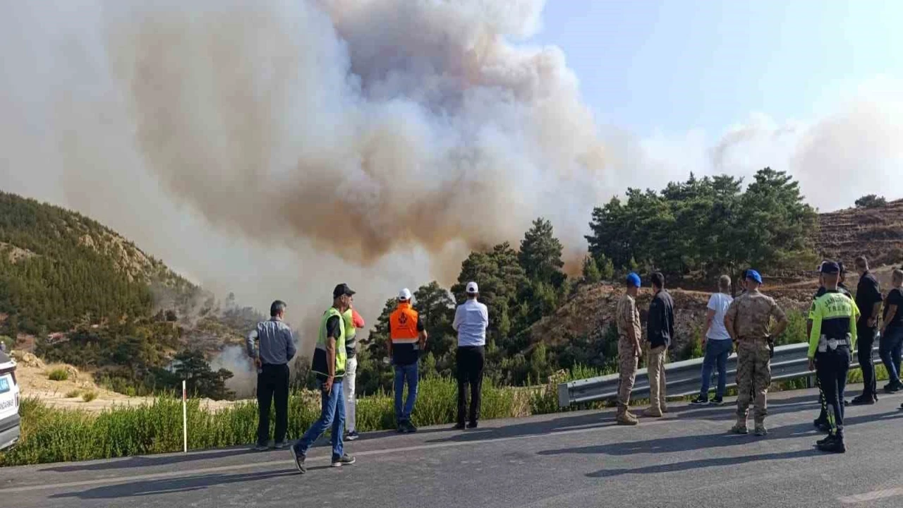 Mersindeki orman yangını: 5 ilden takviye geldi ekiplerin müdahalesi sürüyor