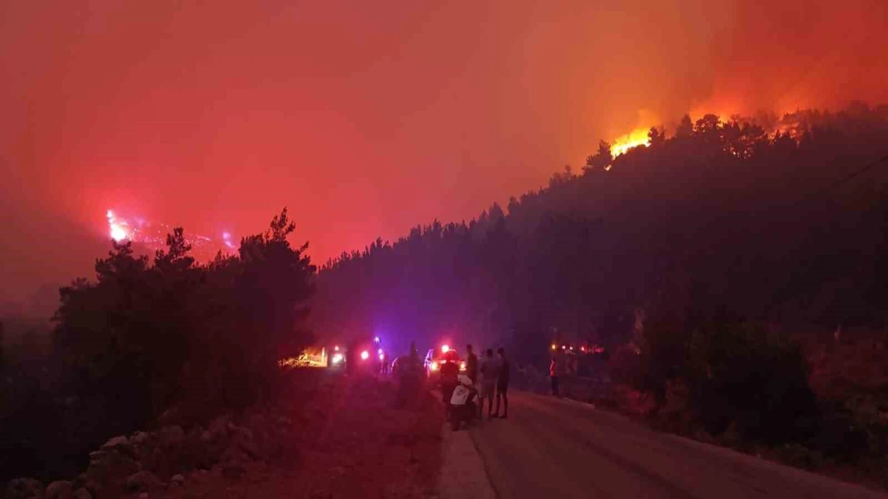 Mersindeki orman yangınına müdahale sürüyor