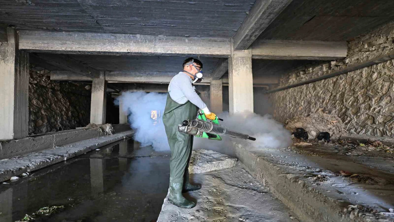 Mutta sineksiz yaz için etkili mücadele sürüyor