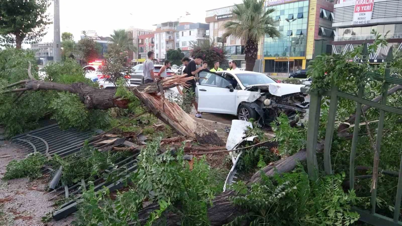 Ortalığın savaş alanına döndüğü kazada kimsenin burnu bile kanamadı