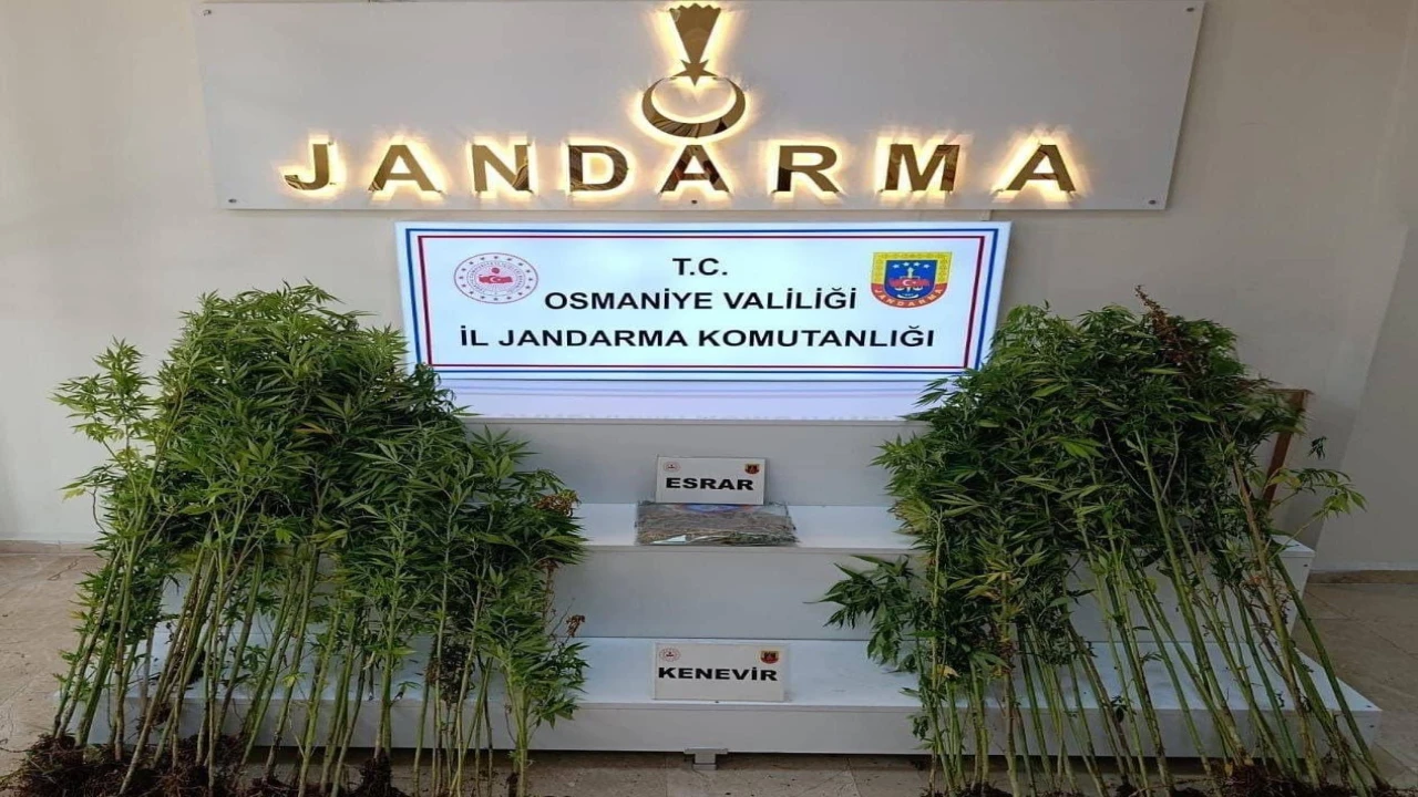 Osmaniyede bir haftada 121 şüpheli yakalandı