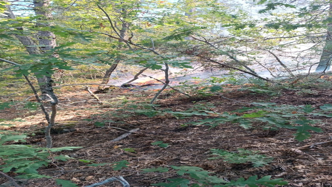 Osmaniyede çıkan orman yangını büyümeden kontrol altına alındı