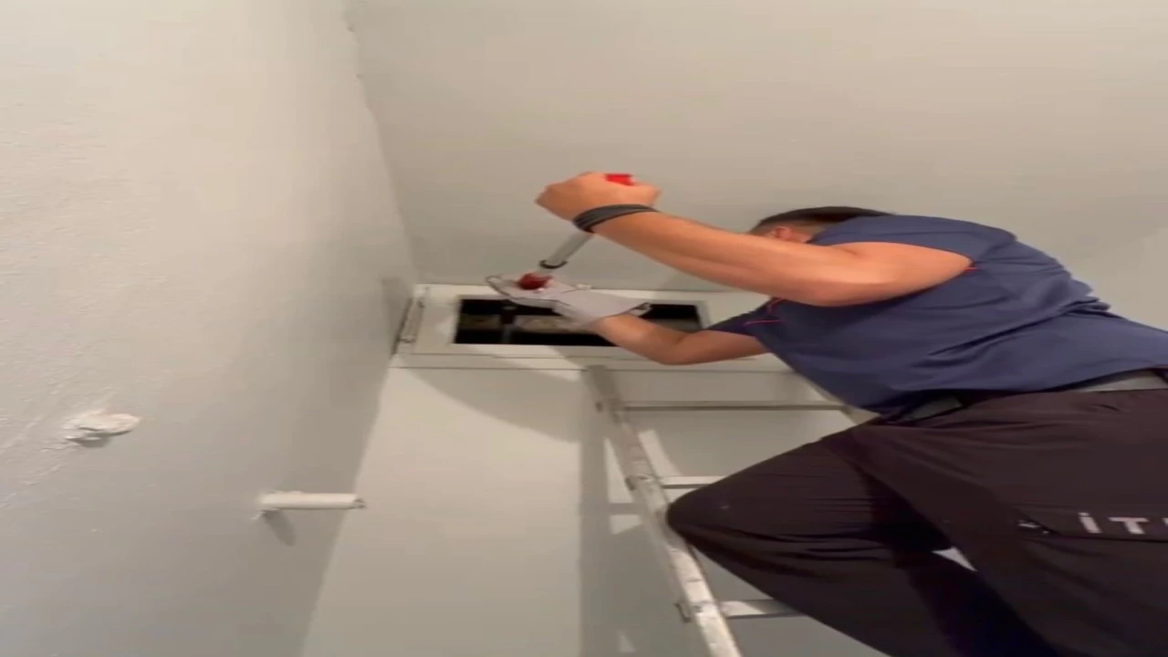 Osmaniyede havalandırma boşluğuna düşen yavru kedi kurtarıldı