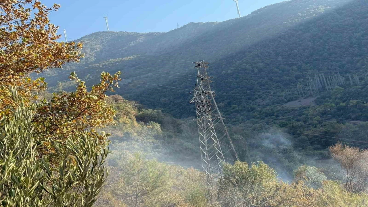 Osmaniyede orman yangını