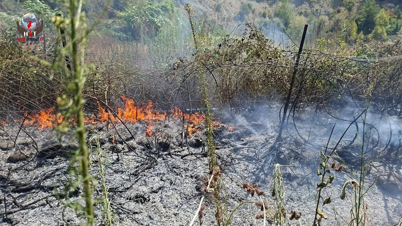 Samandağ’da bahçe yangını kısa sürede söndürüldü