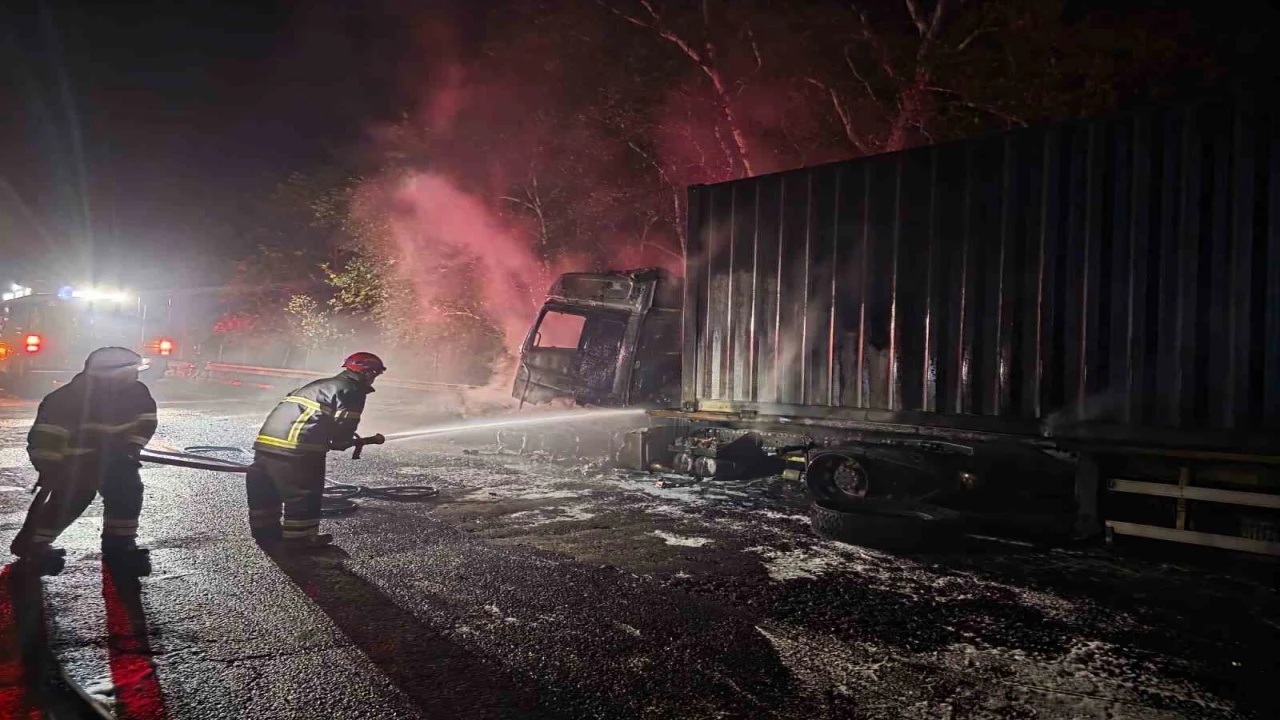 Tırdan ormanlık alana sıçrayan yangın söndürüldü